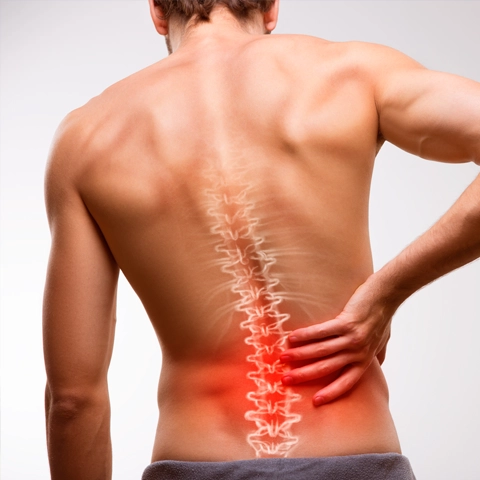A man holding his lower back. His spine is highlighted red.